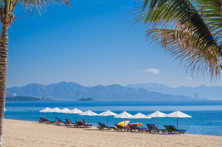 Beach umbrellas with sun beds on a sandy beach with palm trees by the sea at tropical resort in summer day in Vietnamの写真素材