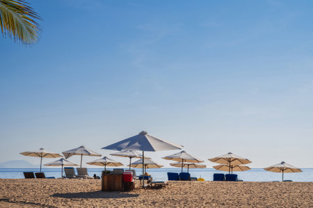 Beach umbrellas with sun beds on sandy beach by sea at the resort during day in summerの写真素材