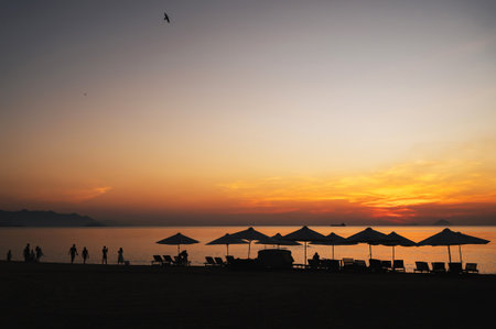 Silhouettes of vacationers and beach umbrellas on the beach by the sea in morning at dawn in summerの写真素材