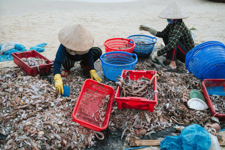 Vietnamese female saleswomen sort seafood on Tam Tien Fish Market on beach by sea in Vietnamの写真素材