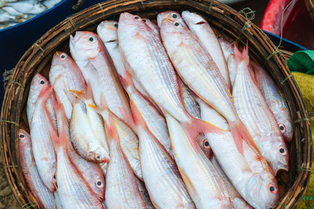 catch of fresh sea fish Threadfin Bream in basket at the seafood market
