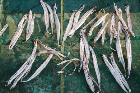 sun dried fish drying in Vietnam