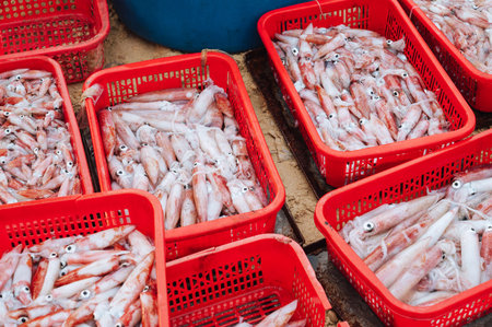 catch of fresh squid in containers at the Vietnamese seafood market in Vietnam