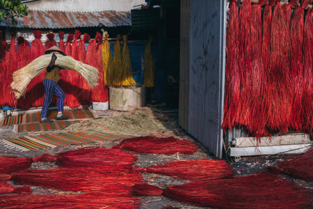 Vietnamese woman in a traditional straw hat dries dyed reeds for production of woven mats at factory in an artisan village in Vietnamの写真素材