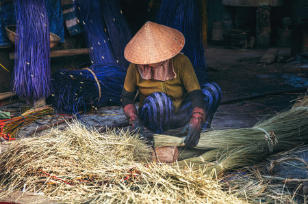 Vietnamese woman in a traditional straw hat Non La cuts reeds at a woven mat factory in a village in...