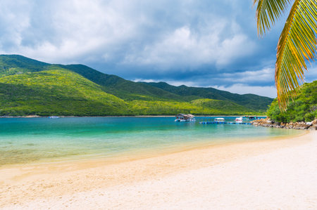 sandy beach on a tropical island in a bay by sea in summer. Luxury exotic resort for relaxing in...