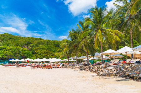beach on a tropical island by the sea on a sunny summer day. Luxury exotic resort with a beach and sun umbrellas for relaxing in traveling. Landscape with a view of coast by the oceanの写真素材