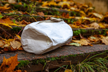 A crumpled paper bag lies on an autumnal mosaic of vibrant leaves and moss-covered stones.