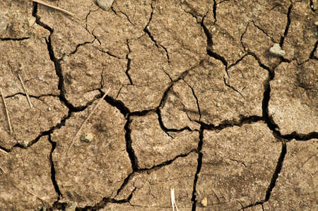 Ground texture