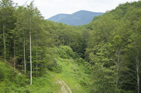 Mountain landscapeの写真素材