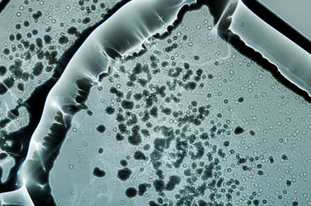 Abstract macro shot of water on glass surfaceの写真素材