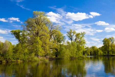 beautiful river landscape in the woodの写真素材