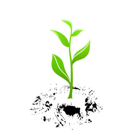 Green sprout is growing out of mudのイラスト素材