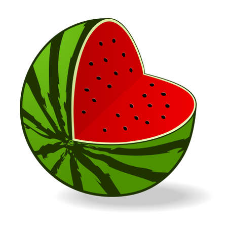 Fresh juicy watermelon - vector illustrationのイラスト素材