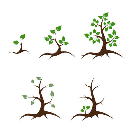 Life of the tree - shoot, young plant, big tree, old tree and death - vector illustrationのイラスト素材