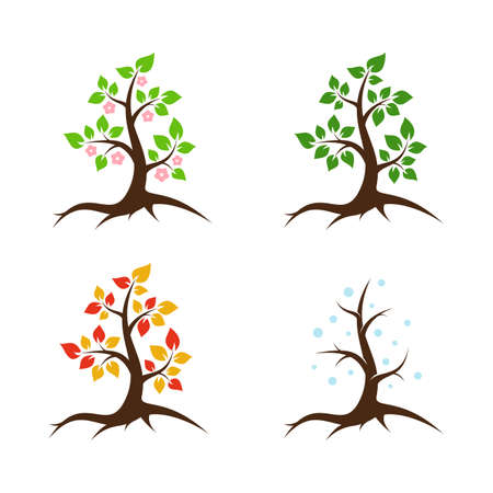 Spring, summer, autumn and winter tree - vector illustrationのイラスト素材