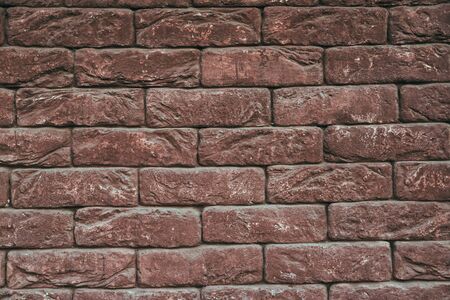 the background is an old tree with patches of ti fadingの写真素材