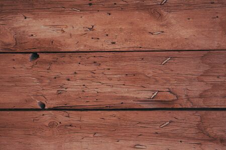 the background is an old tree with patches of ti fadingの写真素材