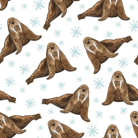 good brown walrus in watercolor with fangs in cartoon styleの写真素材