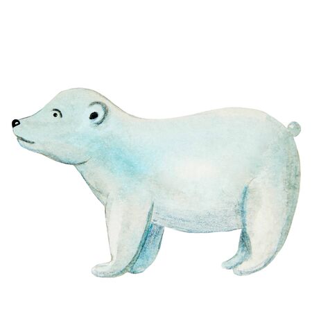 polar bear in watercolor cartoon styleの写真素材