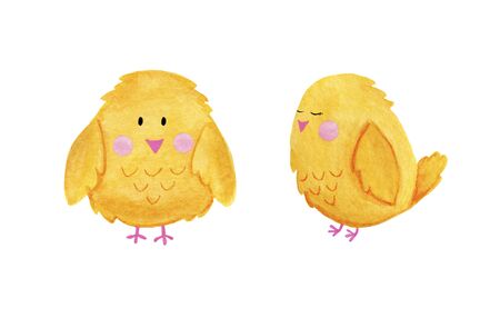 spring, easter, yellow chicken in watercolor, children&#39;s illustrationの写真素材