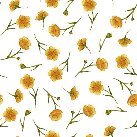 yellow summer buttercups, wildflowers, watercolor, easter, seamless patternの写真素材