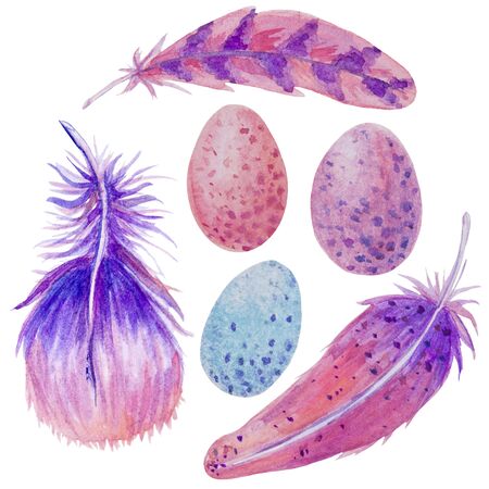 Easter watercolor set with eggs feathers lilac pink colorの写真素材