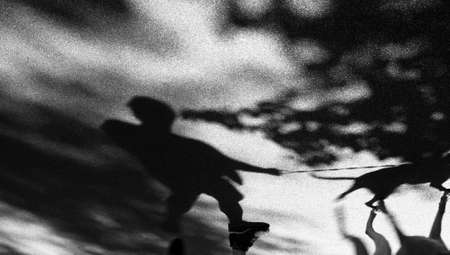 Blurry shadow of a man walking a dog on a leash in black and white
