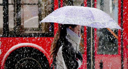 Belgrade, Serbia - December 15, 2018: One young woman walking under umbrella in heavy snowfall in city street in front of the red busのeditorial素材