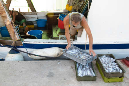Tribunj, Croatia - August, 24, 2018: Two fishermen sorting out the catch on a deck of a moored trawler boat, in summerのeditorial素材
