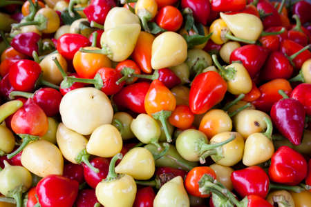 Bunch of different colored organic peppers displayed on sale on farmer's market stand in Serbia