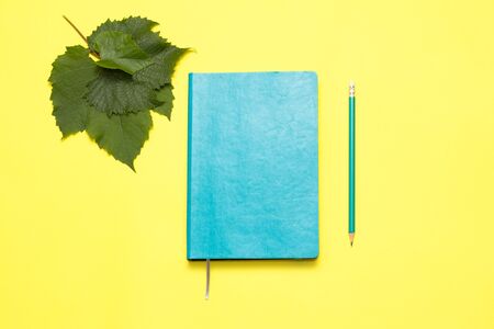 Green hadrcovered notebook with grape leaves and pencil on yellow background.の写真素材