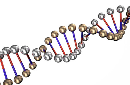 dna isolated on white backgroundの写真素材