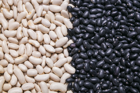 white and black beans background, textureの写真素材