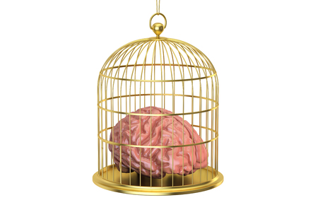 Birdcage with a brain inside, 3D rendering isolated on white backgroundの写真素材