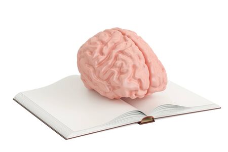 Opened blank book with human brain, 3D rendering isolated on white backgroundの写真素材