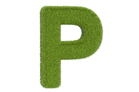 Green grassy letter P, 3D rendering isolated on white backgroundの写真素材