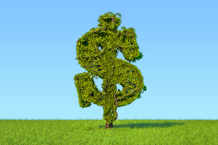 Money tree in the shape of a dollar sign on the green grass against blue sky, 3D rendering の写真素材