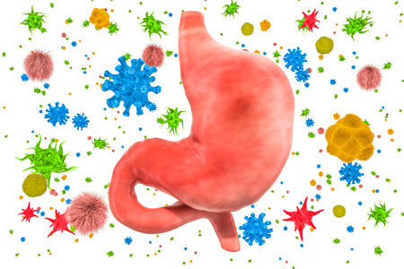 Stomach with viruses and bacteria. Stomach disease concept, 3D rendering isolated on white backgroundの写真素材