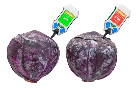 Nitrate testers with purple cabbages. Measurement of nitrate levels in red cabbage, normal range and...