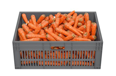 Carrots in the plastic crate, 3D rendering isolated on white backgroundの写真素材