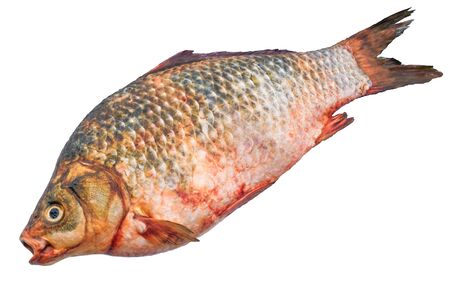 Raw carp, fish 3d rendering with realistic texture isolated on white background