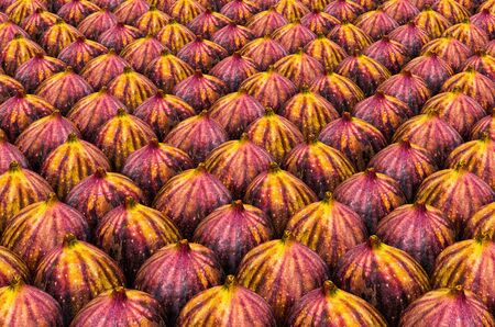 Background from common figs with realistic texture, 3D renderingの写真素材