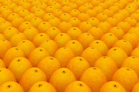 Background from oranges with realistic texture, 3D renderingの写真素材