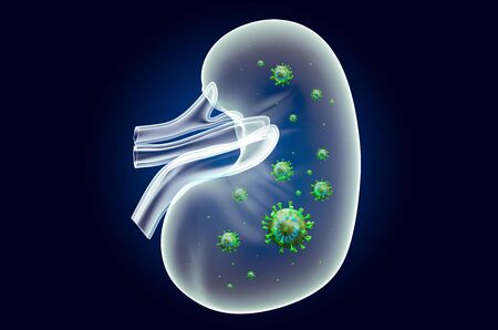 Kidney with virus, ghost light effect, x-ray hologram. 3D rendering on dark blue background