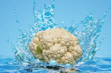 Cauliflower with water splashes, 3D rendering on blue backgroundの写真素材