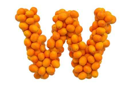 Letter W from oranges, 3D rendering isolated on  white backgroundの写真素材