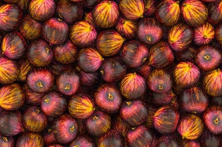 Background from common figs, top view. 3D rendering