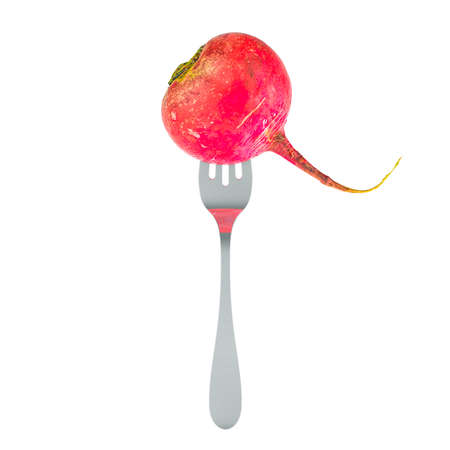 Red big radish on fork, 3D rendering isolated on white backgroundの写真素材
