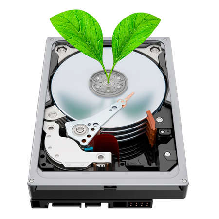Cryptocurrency farming on HDD concept. Green leaves with Hard Disk Drive, 3D rendering isolated on...